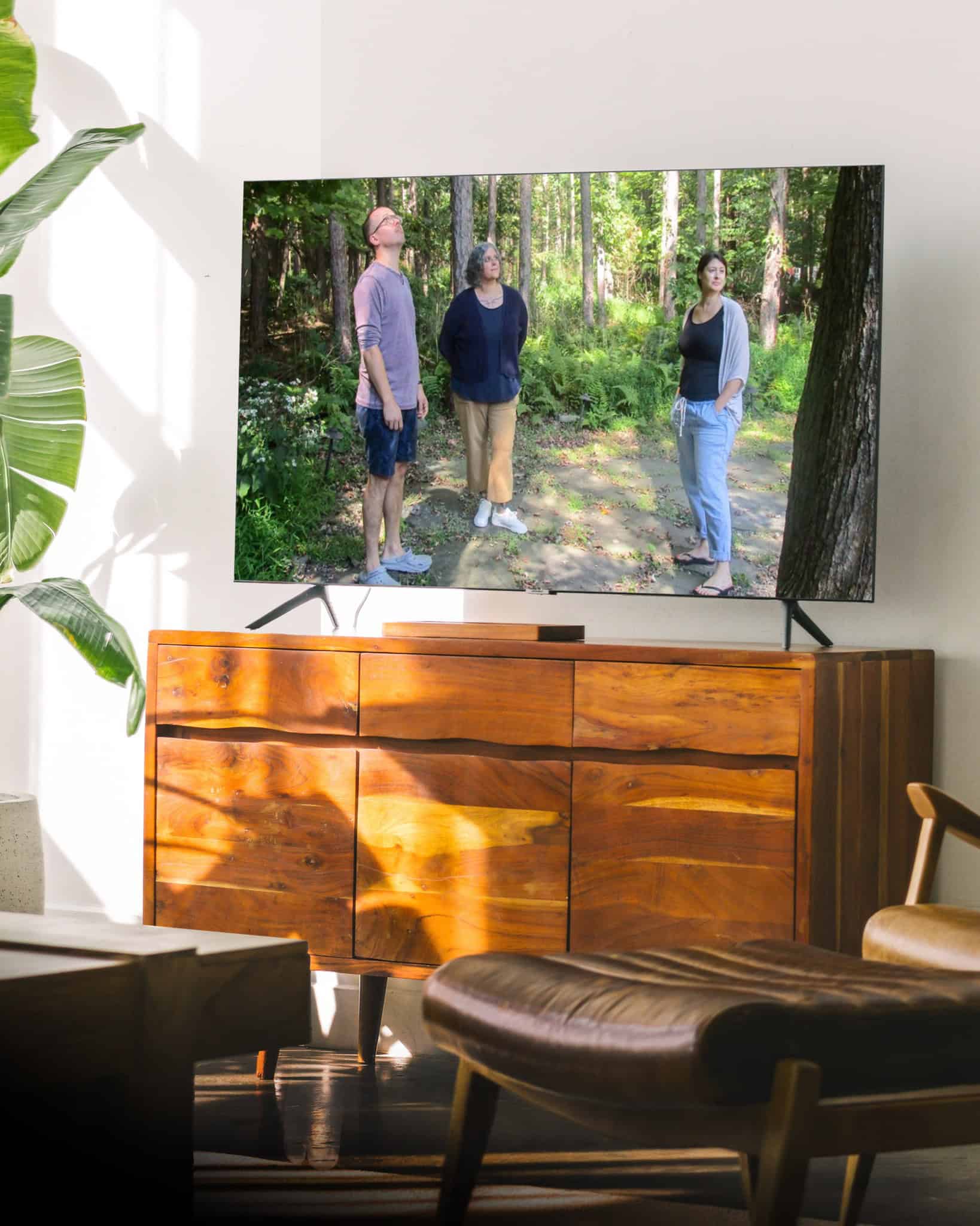 Allison Morelle On HGTV House Hunters Compressed